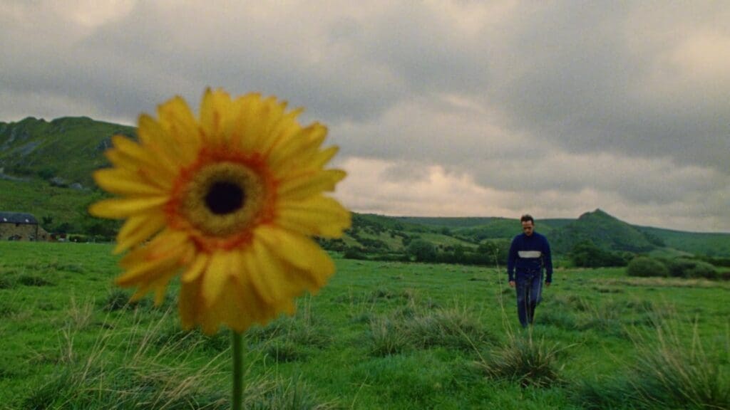 Jordan Rakei – Flowers (visualiser)